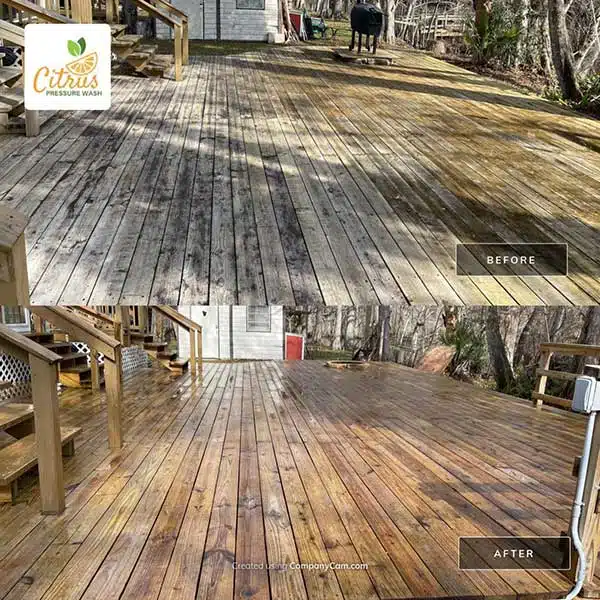 Deck and Fence Cleaning