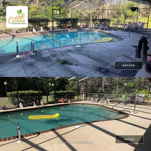 Pool Cage Cleaning